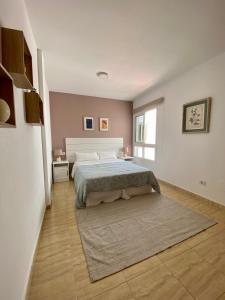 罗萨里奥港Casa Paty Fuerteventura的一间卧室配有一张床和地毯