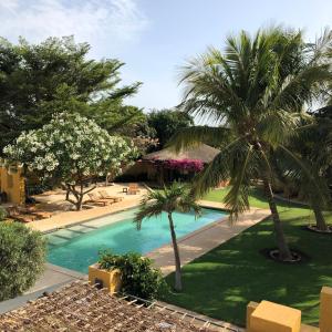恩加帕鲁Toubana Lodge的享有棕榈树游泳池的景色