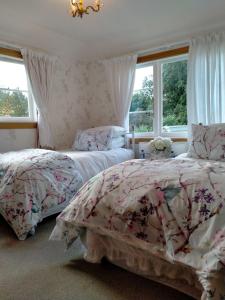 罗托鲁瓦Amberly House Rotorua的带2扇窗户的客房内的2张床