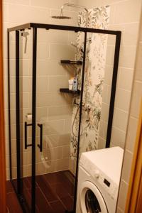 叶尔加瓦2 bedroom central flat的带淋浴的浴室和洗衣机。