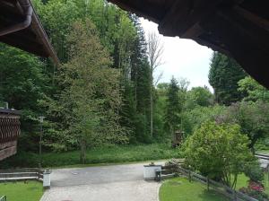 施泰因加登Ferienwohnung Moser Brunhilde的享有长椅和树木公园的景致