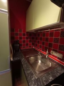 施泰因加登Ferienwohnung Moser Brunhilde的厨房设有水槽,墙上铺有红色瓷砖。