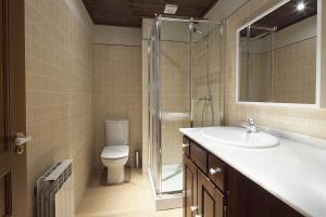 上阿兰Luderna - Apartamento Val de Ruda A10 Gerber的浴室配有卫生间、盥洗盆和淋浴。