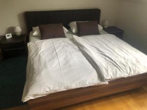 克拉根福Klagenfurt`s Loft的一张带白色床单和棕色枕头的床