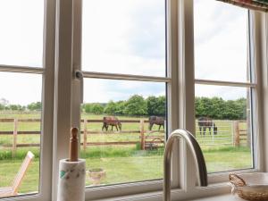 切尔滕纳姆Flagstone Cottage的享有马场景色的窗户