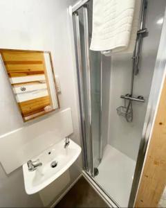 奇切斯特Lake View Lodge Pod的带淋浴、盥洗盆和镜子的浴室