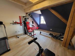 福伊希特旺根Ferienhof Gutmichel的阁楼间设有健身房,其中配有自行车
