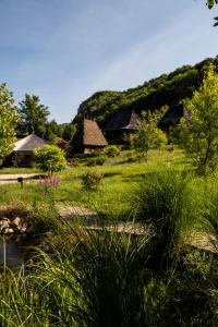 Sub PiatraRaven's Nest - The Hidden Village, Transylvania - Romania的一片草场,有房子的背景