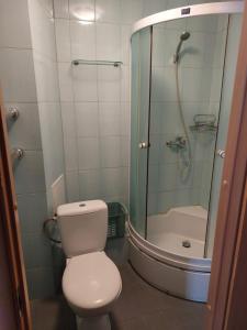 文茨皮尔斯Inzenieru 77 Apartments的一间带卫生间和淋浴的浴室