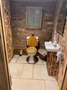 ThirklebyBurtree Country House and Retreats Tipi的一间带卫生间和水槽的浴室