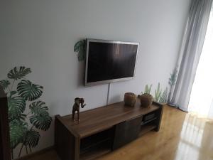 格但斯克Uroczy apartament nad morzem Gdańsk的客厅的墙上配有电视