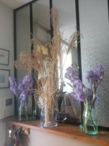 隆河省clos st Joseph的镜子前的架子上装着花的三瓶花