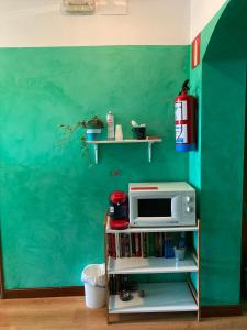 擞莫Hostal La Concha的架子上带微波炉的绿色墙