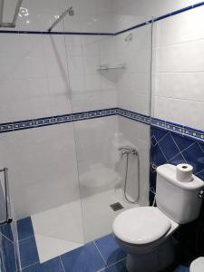 阿里纳加Apartamentos Risco Verde的带淋浴、卫生间和浴缸的浴室