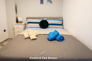 Central lux house平面图