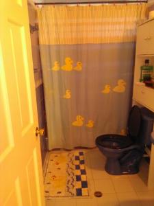 圣安德烈斯纳塔利民宿的浴室配有带卫生间的淋浴帘