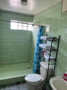 拉利伯塔德Playa El Obispo B La Marea building La Libertad的浴室配有卫生间、淋浴和盥洗盆。
