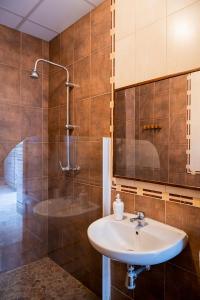 塞维利亚Hostel Triana Backpackers的一间带水槽和淋浴的浴室