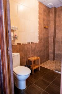 塞维利亚Hostel Triana Backpackers的一间带卫生间和淋浴的浴室