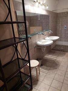 Attnang-PuchheimJOHN’S MOTEL APPARTEMENTHAUS的浴室设有2个水槽和镜子