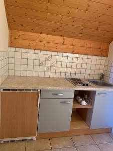 RothenthurnMentebauer Traudi's Ferienhof的厨房配有台面和水槽