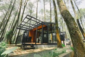 伦邦Bobocabin Cikole, Bandung的树木林中的玻璃房子