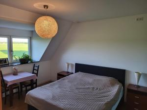 TerschuurBed & Breakfast de Vink的一间卧室配有一张床、一张桌子和一个窗户。
