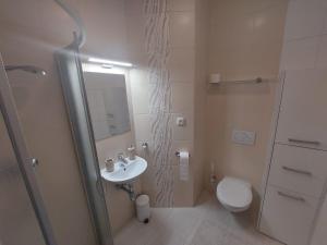 Fulnek雷莱克酒店的一间带水槽、卫生间和淋浴的浴室