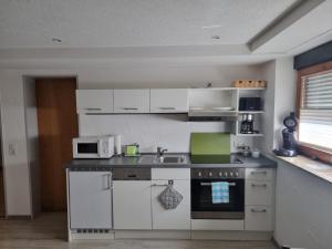 鲁斯特阿丽娜度假公寓的厨房配有白色橱柜、水槽和微波炉