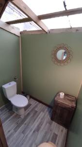 采西斯Karklini glamping的浴室设有卫生间和墙上的镜子。