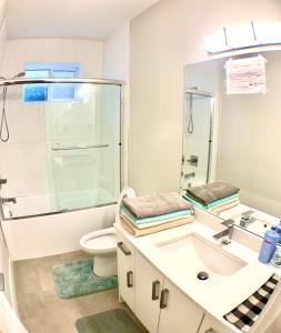 萨里Deluxe House的带淋浴卫生间和盥洗盆的浴室