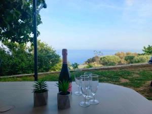 布伦德Extraordinaire guest house sur la route de Pozzo的一张桌子,配有酒杯和一瓶葡萄酒