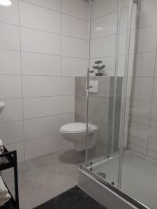 恩斯赫德Annalisa Guest House Centrum的浴室设有卫生间和植物淋浴。