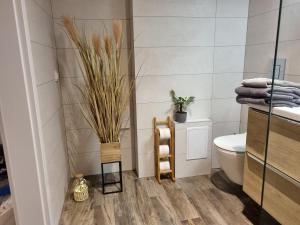 罗兹Apple Apartments - Gdańska PRYWATNE MIEJSCE PARKINGOWE的浴室设有卫生间,地板上种植了植物。