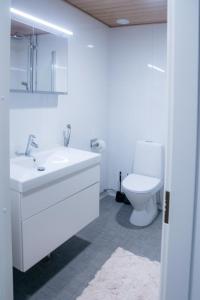 坦佩雷Huoneisto Tampereen paraatipaikalla. 14. kerros.的白色的浴室设有水槽和卫生间。