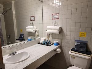 卡尔加里Roadking Inns Motel的一间带水槽、卫生间和镜子的浴室