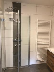 圣卡尼兹Bauernhof Podorn的浴室里设有玻璃门淋浴