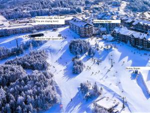 Stroll to Slopes, Village Area, Ski in-out MtLodge 151鸟瞰图