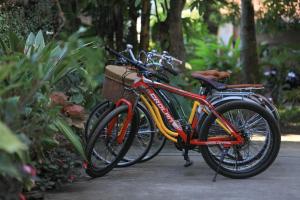 琅勃拉邦旺萨维饭店的两辆自行车停在路边,彼此相邻