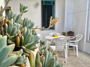 图列Casa Diletta的天井配有桌椅和仙人掌