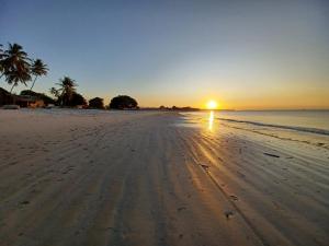 达累斯萨拉姆L&J Modern Backpackers Kigamboni Beach House的棕榈树和海洋海滩上的日落
