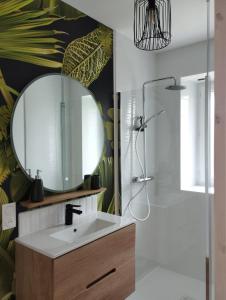 布雷斯特Maison de Kerangall的一间带水槽和镜子的浴室