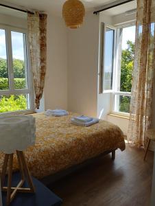布雷斯特Maison de Kerangall的一间卧室设有一张床和两个窗户。