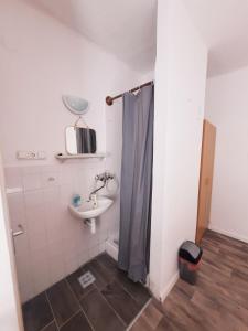 巴拉顿扎佐Central Room的浴室配有水槽和带浴帘的淋浴