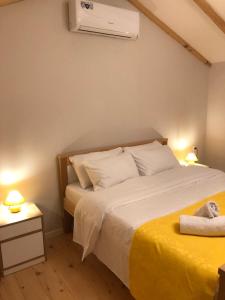 博尔若米Borjomi Yellow Hotel的卧室配有一张床,墙上配有空调