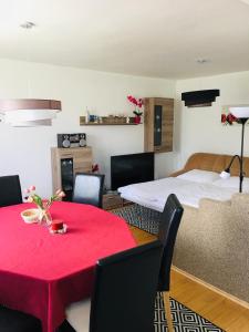 图尔钱斯凯特普利采apartmán MONYA的一间设有红色桌子和一张床的房间