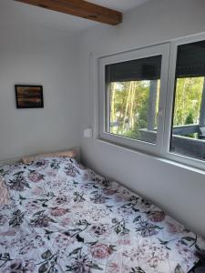 HutaZacisze Huta的一间卧室设有一张床和两个窗户。