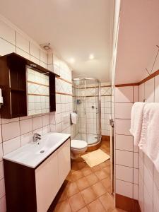 拉斯尼茨霍格鲁切尔克拉梅沃特酒店的一间带水槽、卫生间和淋浴的浴室