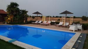 费雷拉杜阿连特茹Trendy and Luxe Bed & Breakfast的一个带椅子和遮阳伞的蓝色游泳池