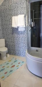 苏利纳REMINA的带淋浴、浴缸和卫生间的浴室